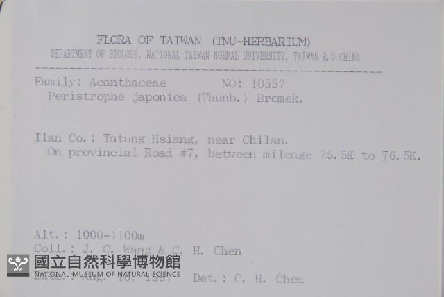 九頭獅子草藏品圖，第2張