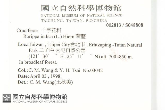 葶藶藏品圖，第2張