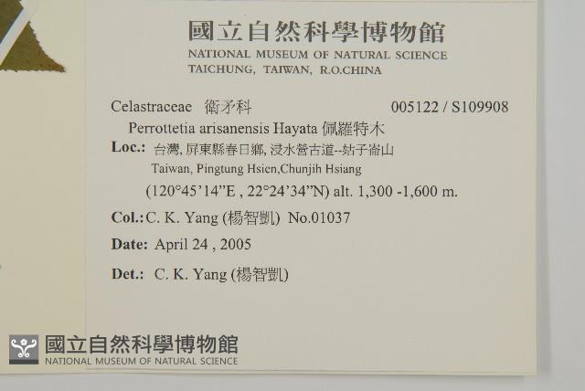 佩羅特木藏品圖，第2張