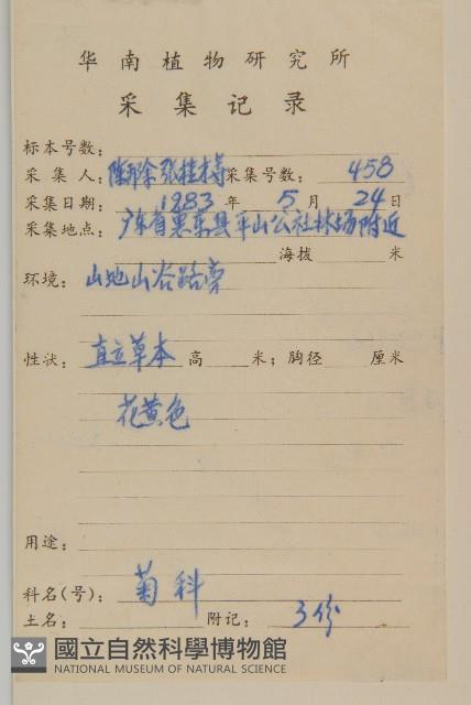 魚眼菊藏品圖，第2張