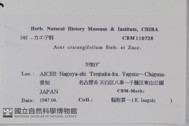 Accession Number:S039908 Collection Image, Figure 2, Total 2 Figures