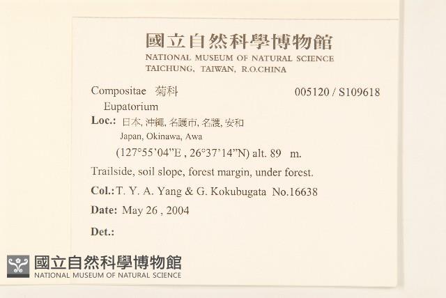 Accession Number:S109618 Collection Image, Figure 2, Total 2 Figures