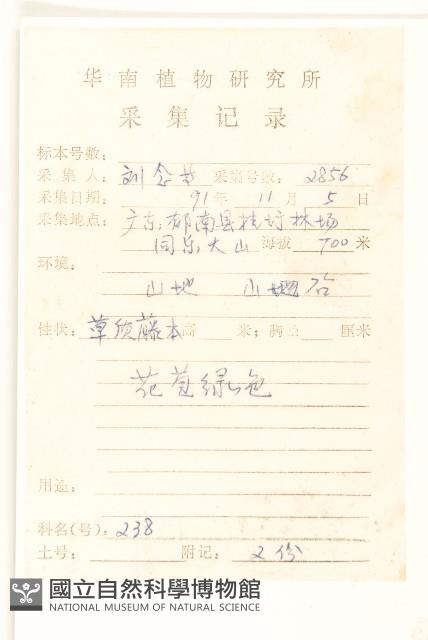 滇南千里光藏品圖，第2張