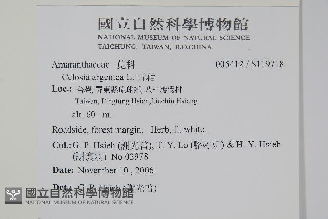 青葙藏品圖，第2張