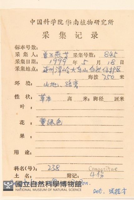 鼠麴草藏品圖，第2張