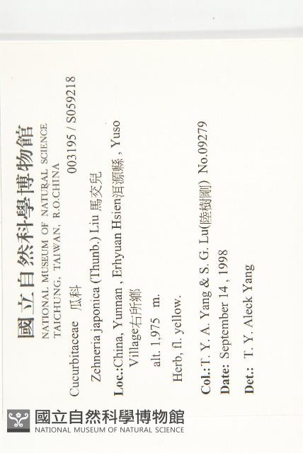 馬交兒藏品圖，第2張