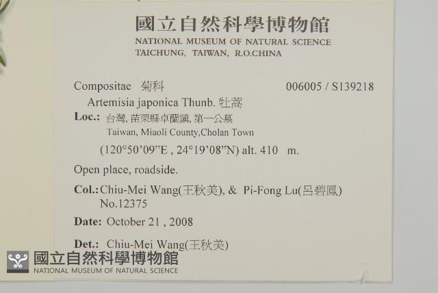 牡蒿藏品圖，第2張