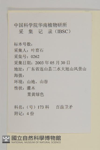 百齒衛矛藏品圖，第2張