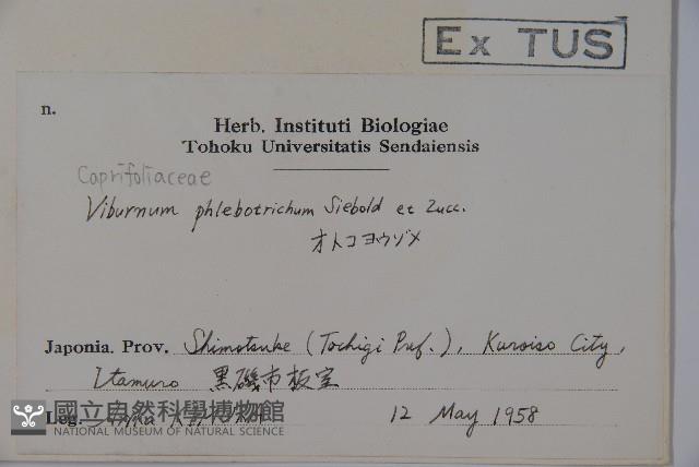 Accession Number:S058418 Collection Image, Figure 2, Total 2 Figures