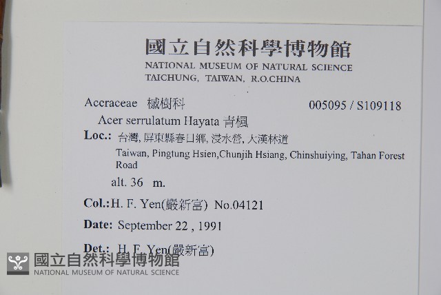 青楓藏品圖，第2張