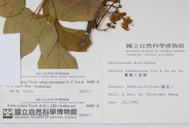 登錄號:S008118藏品圖，第2張