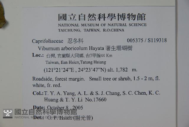 著生珊瑚樹藏品圖，第2張