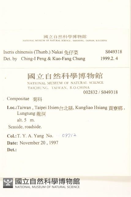 兔仔菜藏品圖，第2張