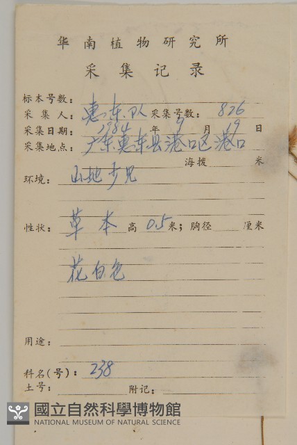 琴葉紫菀藏品圖，第2張