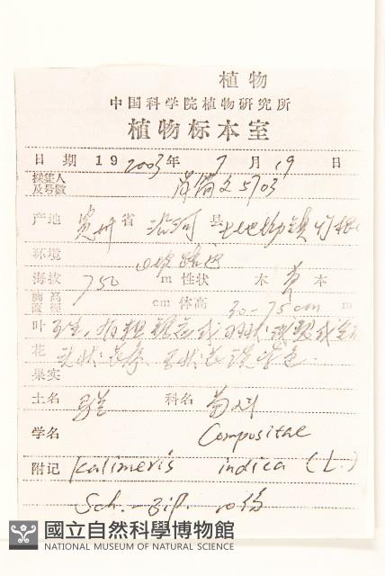 雞兒腸藏品圖，第2張