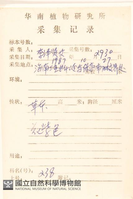 一枝香藏品圖，第2張