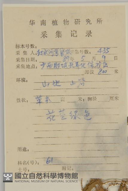 臭杏、土荊芥藏品圖，第2張