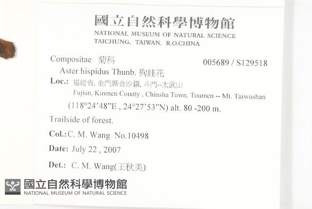 狗娃花藏品圖，第2張