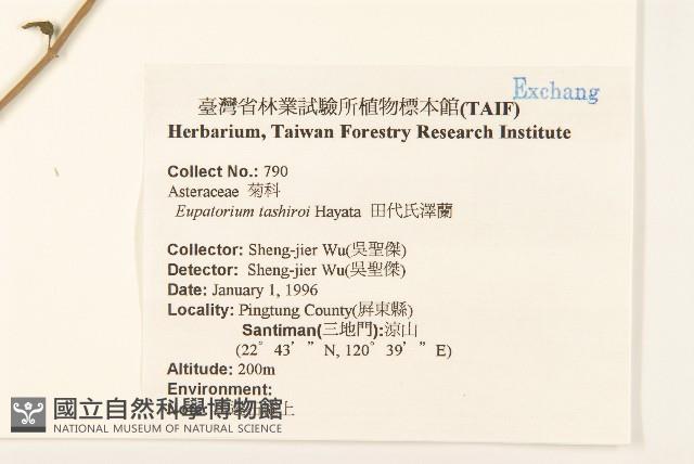 田代氏澤蘭藏品圖，第2張