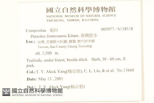 臺灣款冬藏品圖，第2張