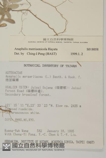 玉山抱莖籟簫藏品圖，第2張