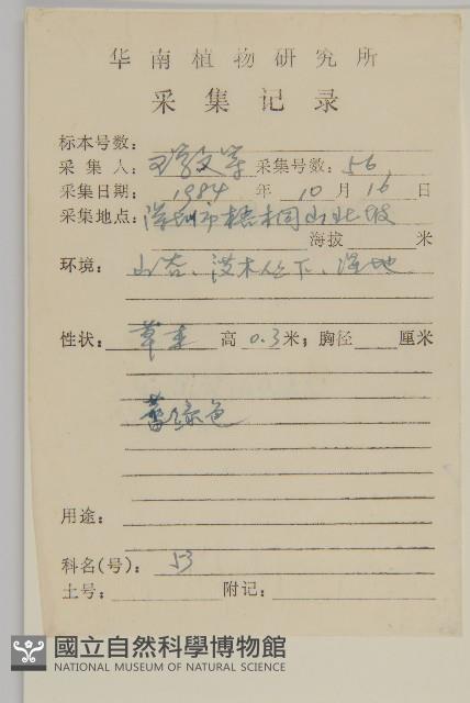 荷蓮豆藏品圖，第2張