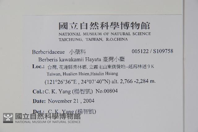 臺灣小蘗藏品圖，第2張