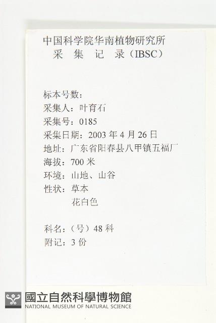 長柱茅膏菜藏品圖，第2張