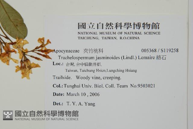 絡石藏品圖，第2張