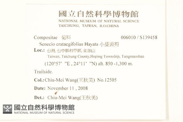 小蔓黃苑藏品圖，第2張