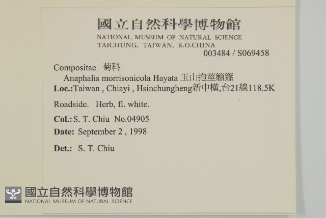 玉山抱莖籟簫藏品圖，第2張