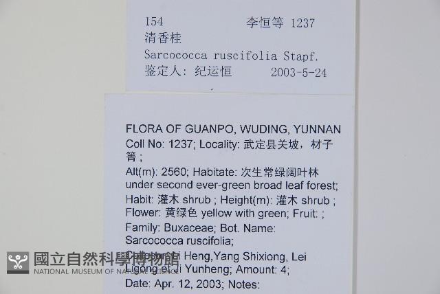 野扇花藏品圖，第2張