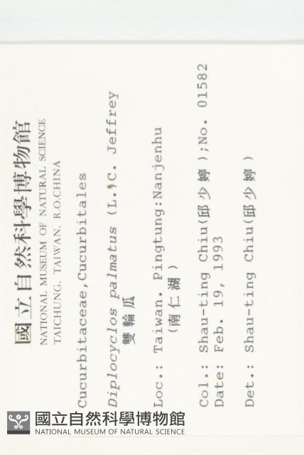 雙輪瓜藏品圖，第2張