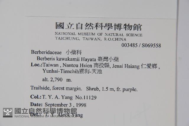 臺灣小蘗藏品圖，第2張