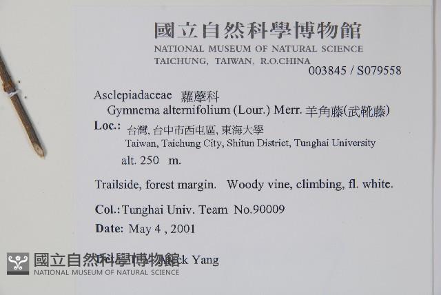 羊角藤、武靴藤藏品圖，第2張