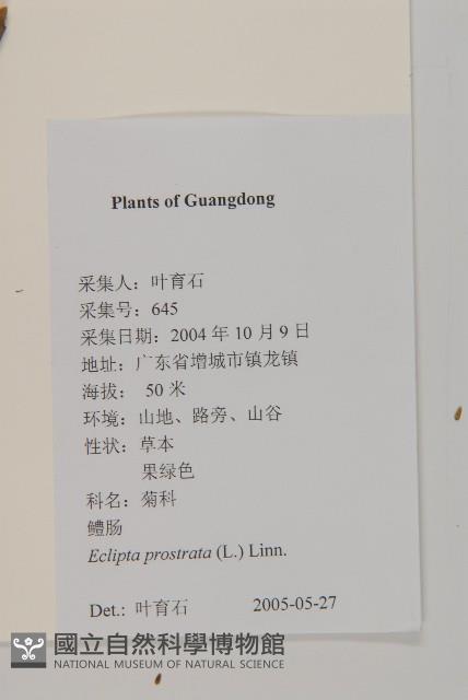 鱧腸藏品圖，第2張