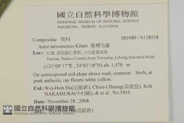 臺灣馬蘭藏品圖，第2張