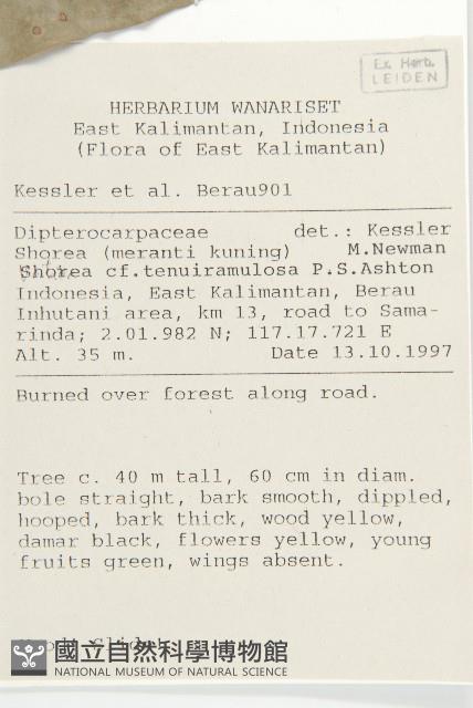 登錄號:S058798藏品圖，第2張