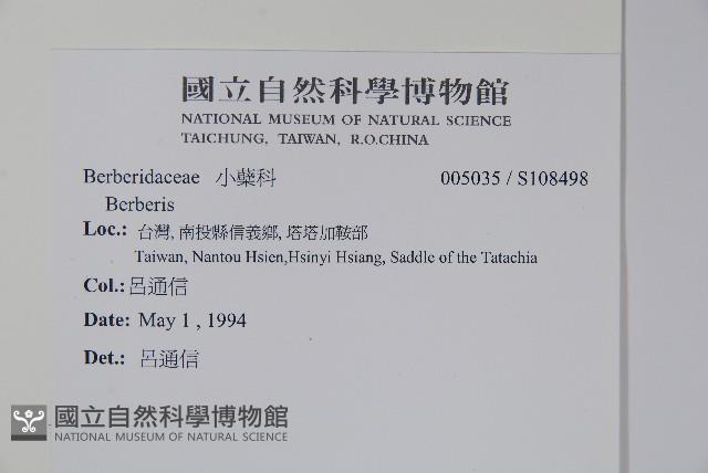 臺灣小蘗藏品圖，第2張