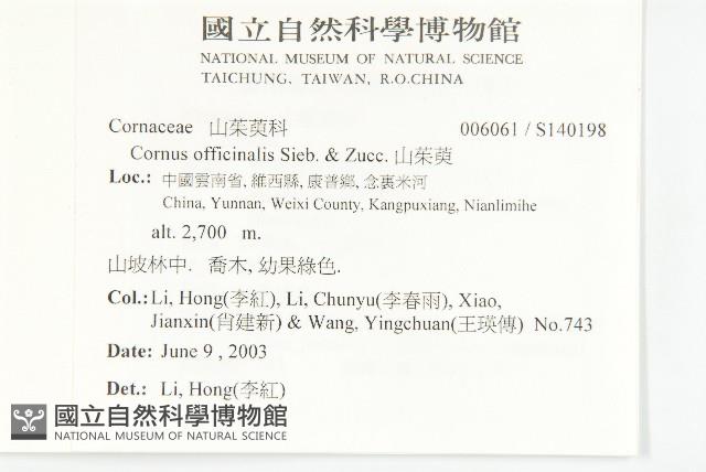 山茱萸藏品圖，第2張