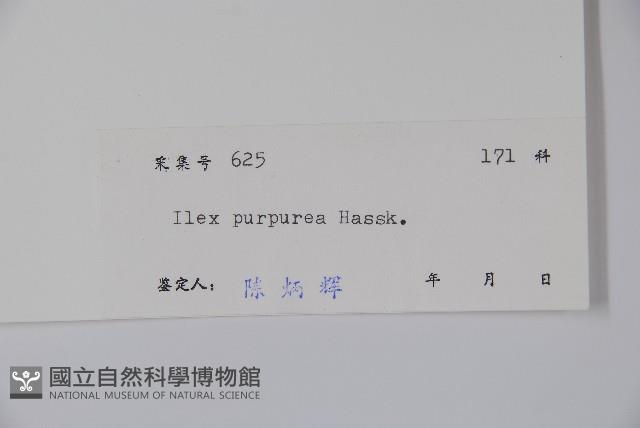 冬青藏品圖，第2張