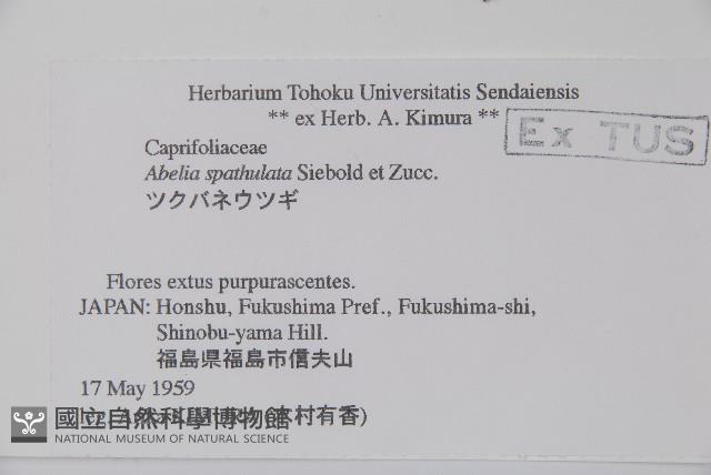 登錄號:S058398藏品圖，第2張