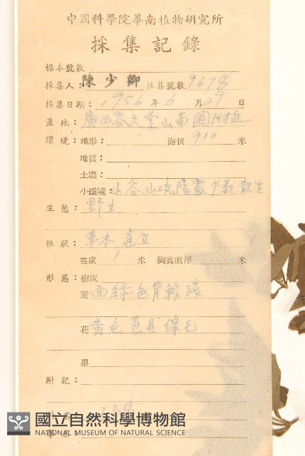 Accession Number:S038398 Collection Image, Figure 2, Total 3 Figures