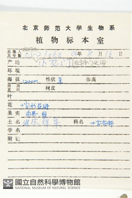 鳳花菜藏品圖，第2張