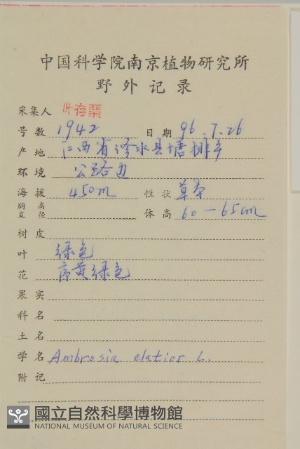豬草藏品圖，第2張