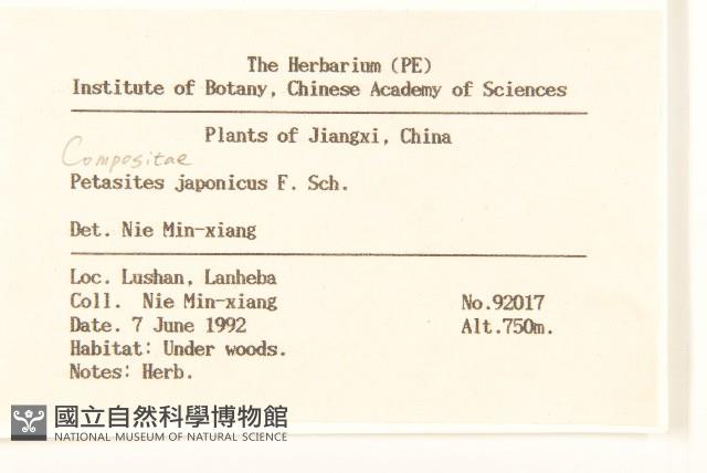 蜂斗菜、蛇頭菜藏品圖，第2張