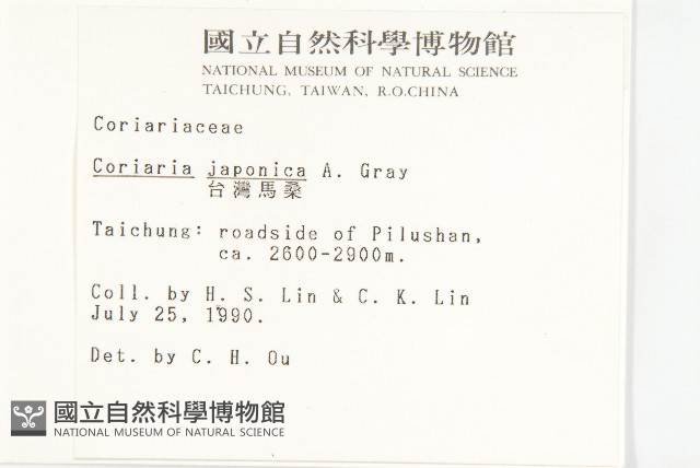 臺灣馬桑藏品圖，第2張