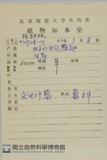 變葉藜藏品圖，第2張