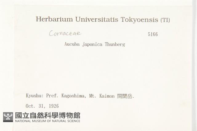 東瀛珊瑚藏品圖，第2張