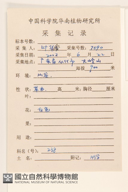 小米菊藏品圖，第2張